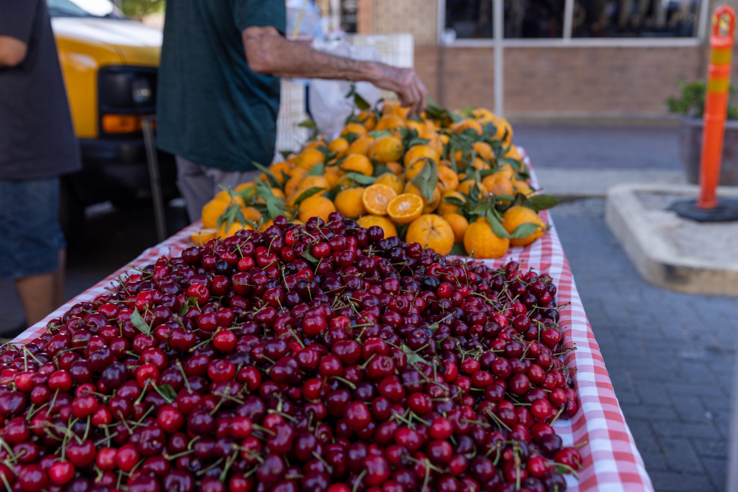 Cherry Harvest